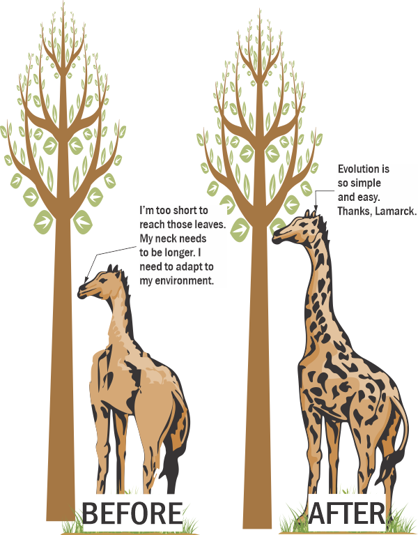 Lamarck's giraffe example